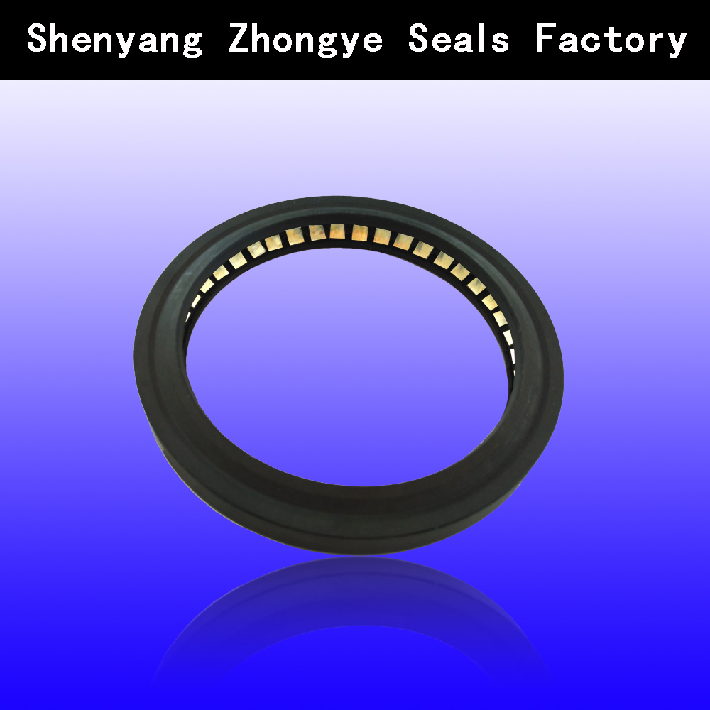 Spring Energized Steel JPVA Seal