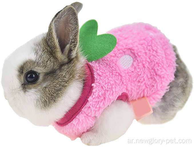 ملابس أرنب أرنب دافئة في فصل الشتاء