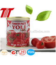 850g Organic YOLI Brand Canned Tomato Paste with Tomato Paste Machine