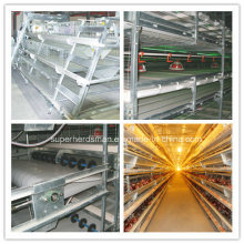 Chicken Cage System for Poultry Farm (layer and broilers)