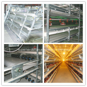 Chicken Cage System for Poultry Farm (layer and broilers)