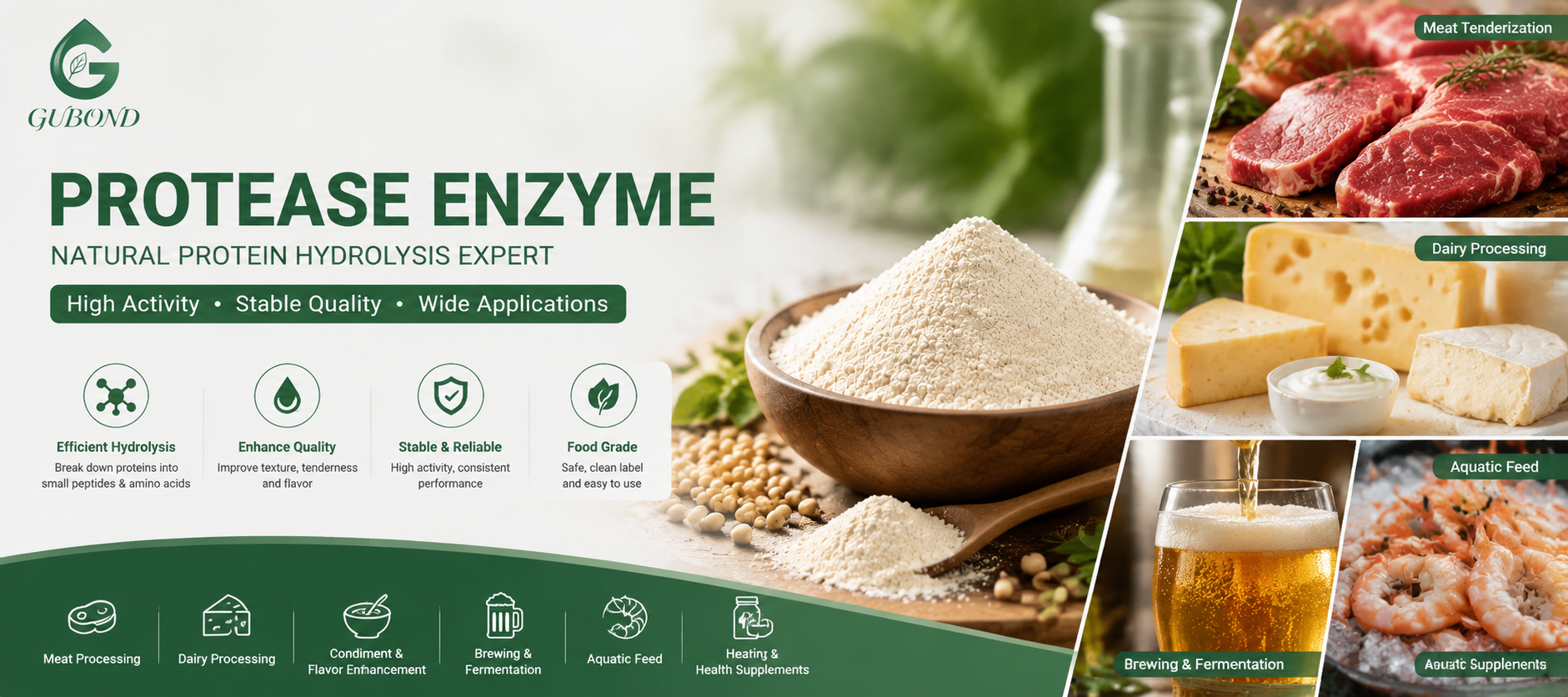 Enzima proteasa Protease Enzyme
