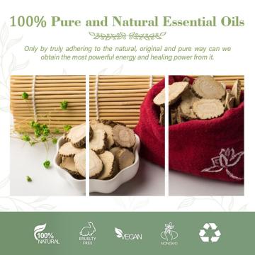 Pure Natural Angelica Dahurica Root Extract Oil for Massage