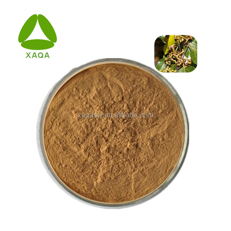 Samen-Hoveniae-Extrakt Semen Hoveniae Extract