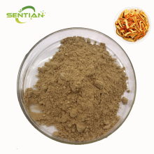 Premium Chuan Chenpi Extract for Natural Wellness