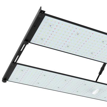 MAIS RECENTE Placa Quantum DIY de 480W Grow Light