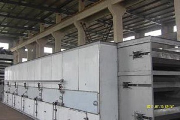 DW Single Belt Dryer-Fruit and Vegetable Dryer