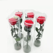 Wholesale Long Stem Preserved Roses from YAYUN A-1120 for Gifts in Ecuador