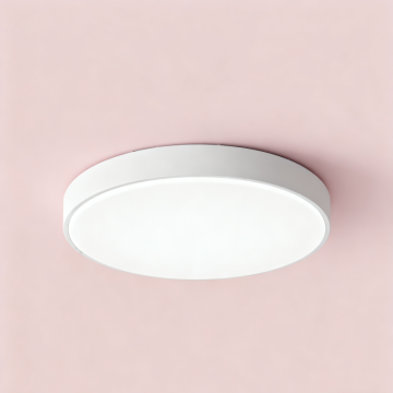 Modern 24W LED Ceiling Light Design