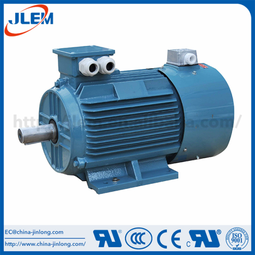 China professional manufacture premium efficiency electric motor