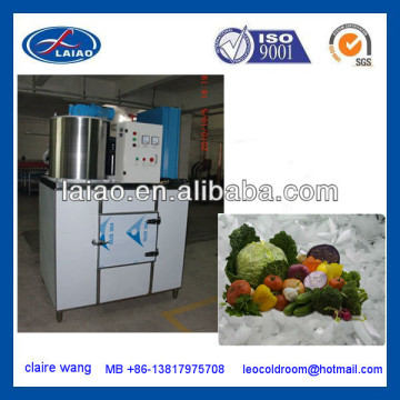 food processing ice machine