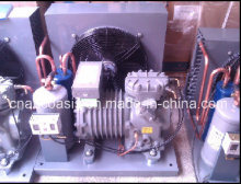 Semi-Hermetic Copeland Condensing Unit (Dll-301)