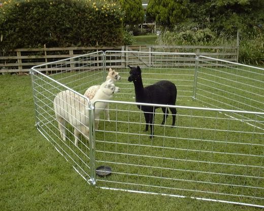 hot sale galvanized sheep wire mesh portable fence panel/corral panel/alpaca panel( factory )