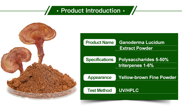 Reishi mushroom extract powder