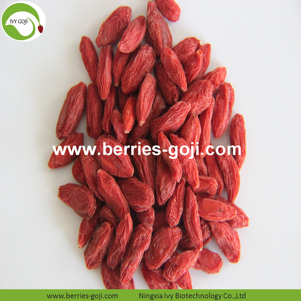 new arrival goji berries