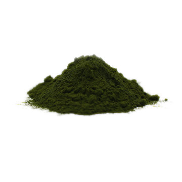 mejor polvo de chlorella orgánica 2020