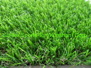 Cheap Ornamental Grass For Garden?