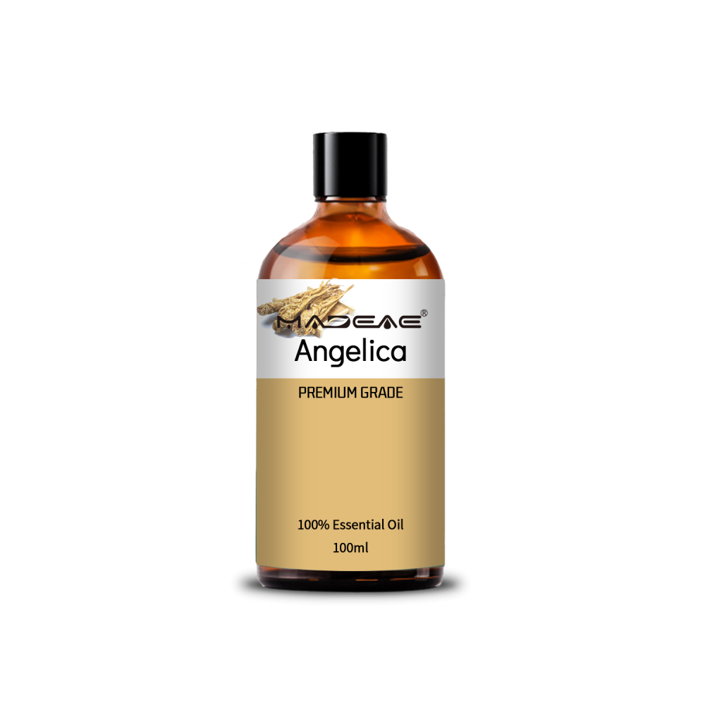 Natureza pura Angelica Oil Steam Destilação para suavizar a massagem