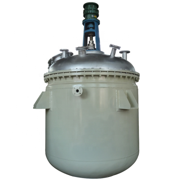 Stirred Tank Bioreactor Reaction Vessel