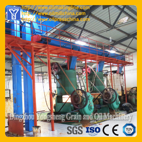 Palm Kernel Oil Spiral Expeller