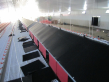 Laying Nest Equipments for Chicken Breeder