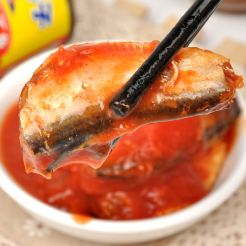 Sardinenfisch in Dosen in Tomatensauce mit Chili