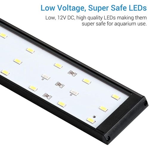 blue white led aquarium lighting led light