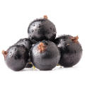 Antioxidantes naturais de pó de extrato de blackcurrant