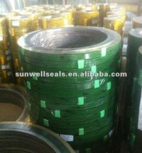 Good quality of Metal Spiral Wound Gaskets Sealing