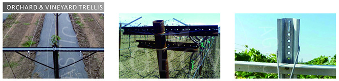 orchard & Vineyard trellis 