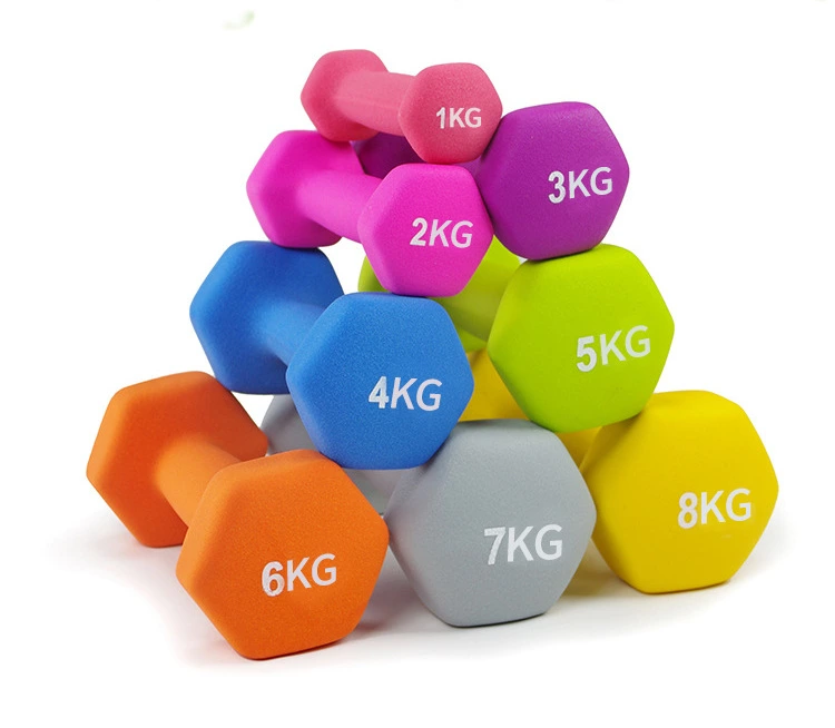 Sporting Equipment 9kg Dumbbell for Home Fitness