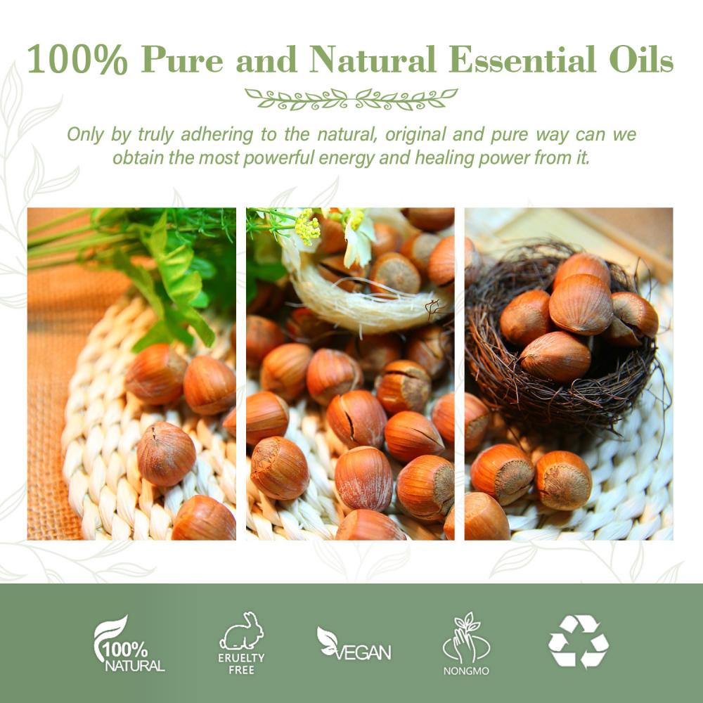 Hurtownia OEM/ODM zimna bez zapachu 100% czysty organiczny do gotowania olej z orzechów laskowych