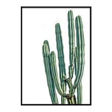 Cactus wall art frame