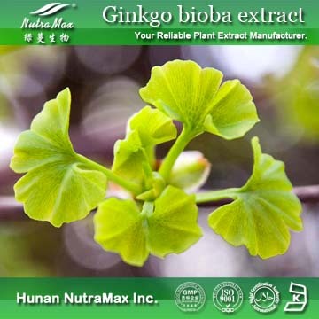 Gingko Biloba Leaf Extract 24%/6%