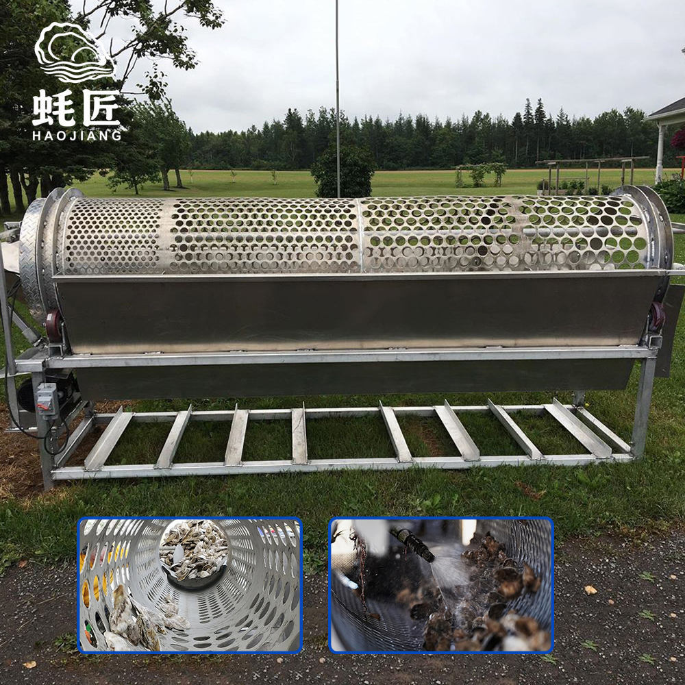 Máy phân loại hàu bằng màn hình lưới Mesh Screen Oyster Classifier