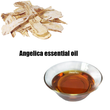  Angelica Root Essential Oil