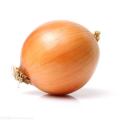 Fresh onion with high quality