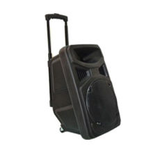 Wireless speaker with trolley and hand DVD