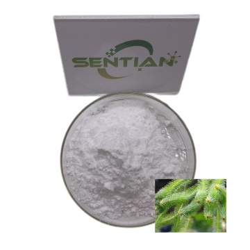 Natural Huperzia Serrata Extract Huperzine A 1%