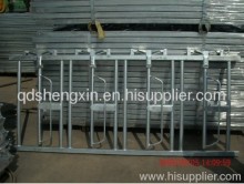 Hot Sale Cattle Head Lock?