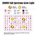 2000watt 고전력 실내 전체 스펙트럼은 빛을 발성합니다