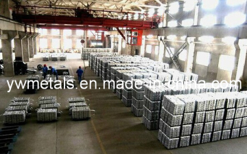 Lead Ingot (Pb) 99.994% with Stock