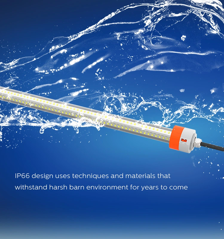 Anti-Ammonia Poultry LED Tube Light for Chicken Farm