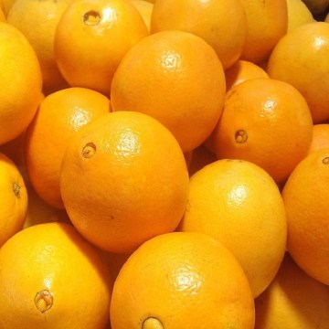 Mandarin Navel Fresh Mandarin Oranges