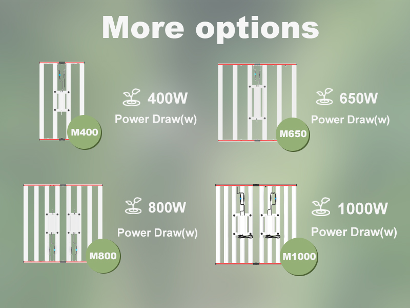 Shenzhen grow light Shenzhen grow light