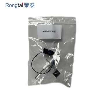 93868 ceramic ignition electrode