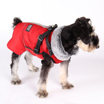 Pet themed clothing with harness