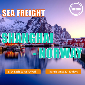 Sea Freight From Shanghai To Norway