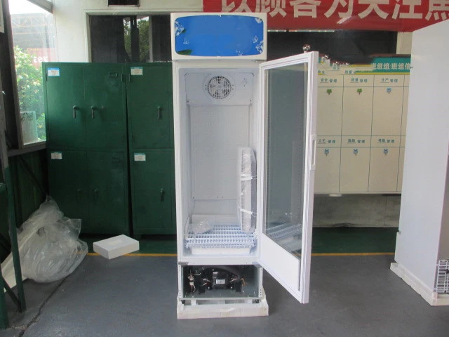 Smad OEM Direct Cooling Beverage Display Upright Showcase Commercial Refrigerator