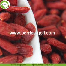 Varietas Bulk Grosir Rendah Pestisida Goji Berries